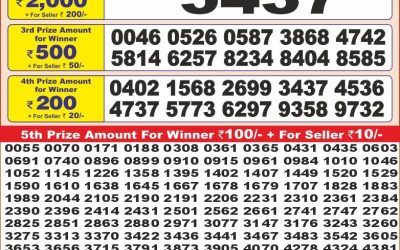 Punjab state dear 10 weekly lottery result,6pm,14.5.2025