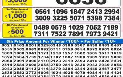 Dear 10 solid wednesday weekly lottery 14.5.25 7pm result