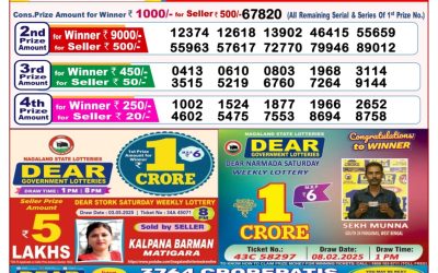 Dear seagull Friday weekly lottery 16.5.25 8pm result