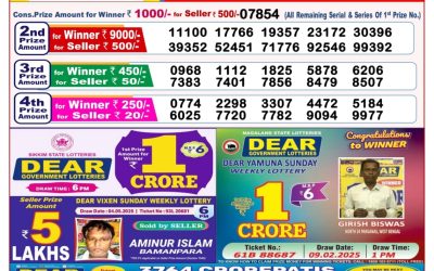 Dear stork saturday weekly lottery 17.5.25 8pm result