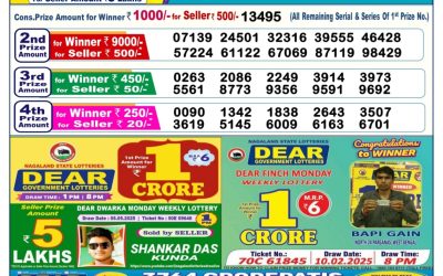 Dear vixen sunday weekly lottery 18.5.25 6pm result