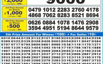 Dear 10 blue monday weekly lottery 19.5.25 1.30pm result
