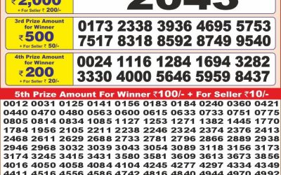 Punjab state dear 10 lottery 20.5.25 6pm result