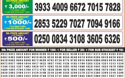 Punjab state dear 50 monthly 20.5.25 6.p.m result