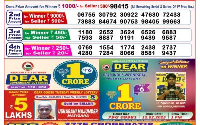 Dear goose Tuesday weekly lottery 20.5.25 8pm result
