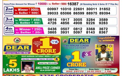 Dear seagull Friday weekly lottery 23.05.25 8pm result