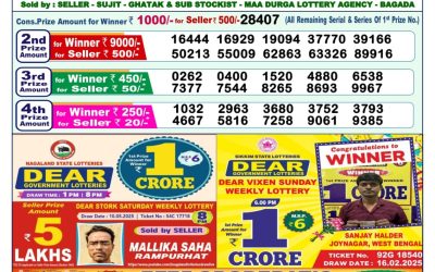 Dear narmada saturday weekly lottery 24.05.25 1pm result