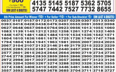 Dear super iron Saturday weekly lottery 24.05.25 7pm result