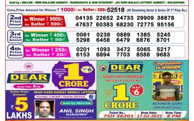 Dear stork saturday weekly lottery 24.05.25 8pm result