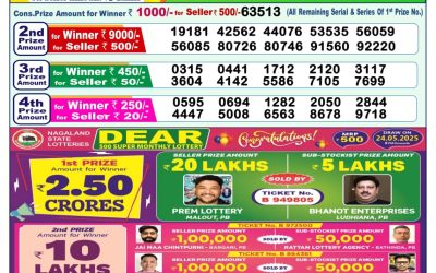 Dear yamuna sunday weekly lottery 25.05.25 1pm result