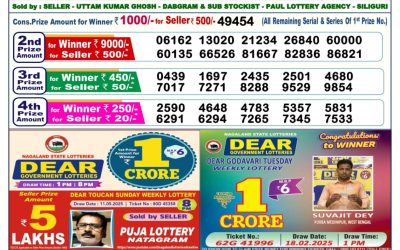 Dear vixen sunday weekly lottery 25.05.25 6pm result
