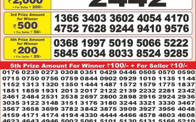 Punjab State Dear 10 sunday Weekly Lottery 25.05.25 6PM Result