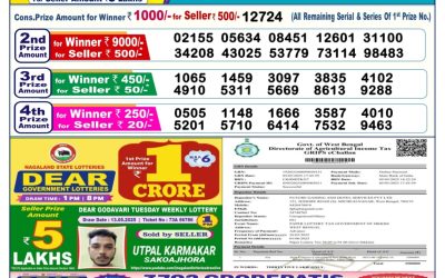 Dear blitzen monday weekly lottery 26.05.25 6pm result