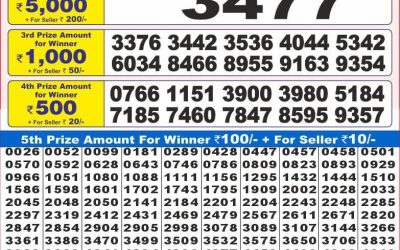 Dear 10 hard Tuesday weekly lottery 27.05.25 7pm result