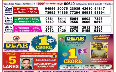 Dear goose Tuesday weekly lottery 27.05.25 8pm result