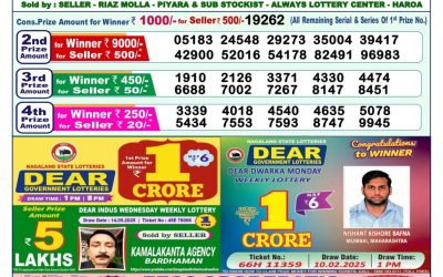 Dear indus wednesday weekly lottery 28.05.25 1pm result