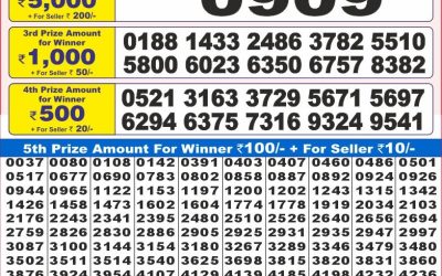 Dear 10 solid wednesday weekly lottery 28.05.25 7pm result