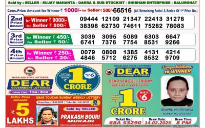 Dear seagull Friday weekly lottery 30.05.25 8pm result