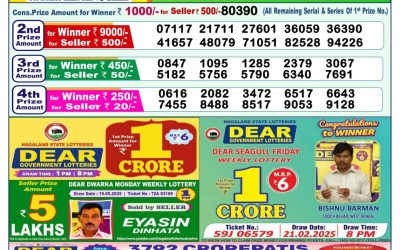 Dear narmada saturday weekly lottery 31.05.25 1pm result