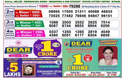 Dear stork saturday weekly lottery 31.05.25 8pm result