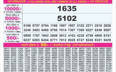 Dear Super Silver Friday weekly lottery 16.5.25 7pm result