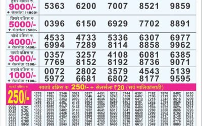 Dear 100 Beas Tuesday weekly lottery 27.05.25 5pm result