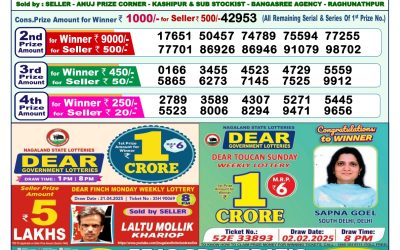 Dear narmada saturday weekly lottery 10.5.25 1pm result