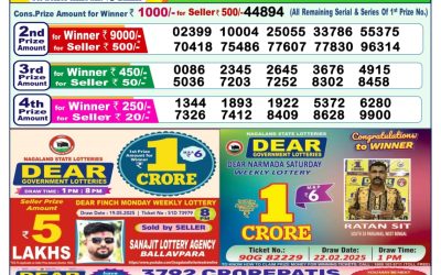 Dear yamuna sunday weekly lottery 01.06.25 1pm result