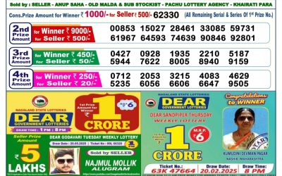 Dear vixen sunday weekly lottery 01.06.25 6pm result