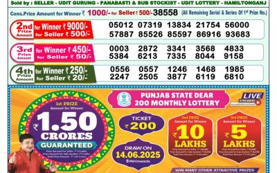 Dear godavari Tuesday weekly lottery 03.06.25 1pm result