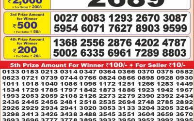 Punjab state dear 10 lottery 03.06.25 6pm result