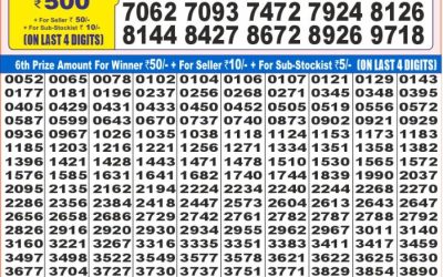 Dear super diamond Tuesday weekly lottery 03.06.25 7pm result
