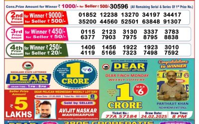 Dear goose Tuesday weekly lottery 03.06.25 8pm result