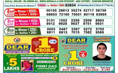 Dear indus wednesday weekly lottery 04.06.25 1pm result