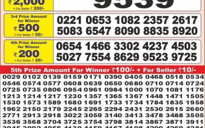 Punjab state dear 10 weekly lottery result,6pm,04.06.2025