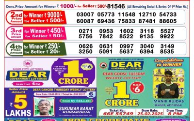 Dear pelican wednesday weekly lottery 04.06.25 8pm result