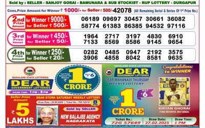 Dear seagull Friday weekly lottery 06.06.25 8pm result