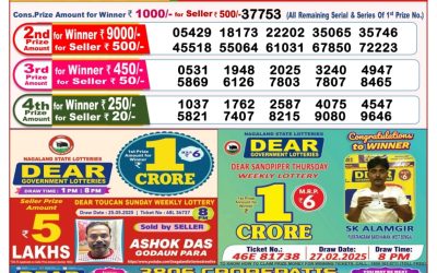 Dear stork saturday weekly lottery 07.06.25 8pm result