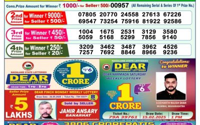 Dear yamuna sunday weekly lottery 08.06.25 1pm result