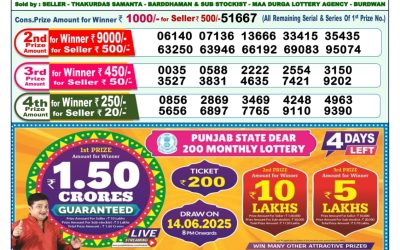 Dear godavari Tuesday weekly lottery 10.06.25 1pm result
