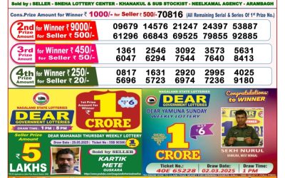 Dear goose Tuesday weekly lottery 10.06.25 8pm result