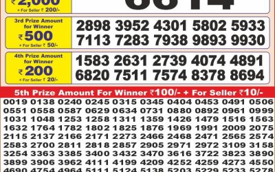 Punjab state dear 10 weekly lottery result,6pm,11.06.2025