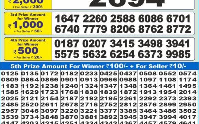 Dear 10 red Friday weekly lottery 13.06.25 1.30pm result