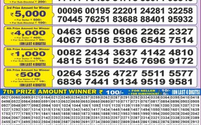 Dear 50 satluj Friday weekly lottery 13.06.25 5pm result