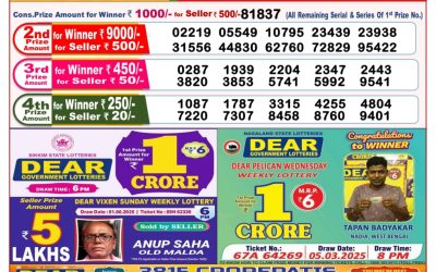 Dear stork saturday weekly lottery 14.06.25 8pm result