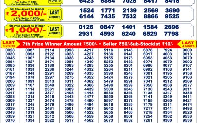 Punjab State 200 Monthly Lottery Result 8PM 14.6.25
