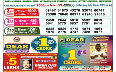Dear yamuna sunday weekly lottery 15.06.25 1pm result