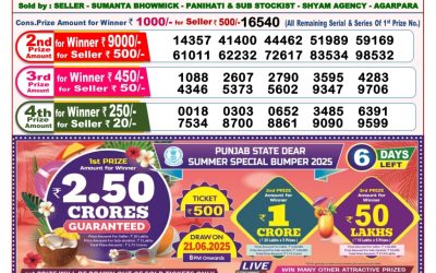 Dear toucan sunday weekly lottery 15.06.25 8pm result