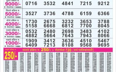 Dear 100 Beas Tuesday weekly lottery 17.06.25 5pm result