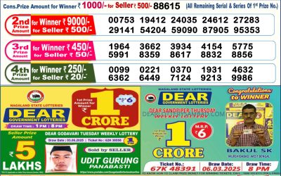 Dear comet Tuesday weekly lottery 17.06.25 6pm result